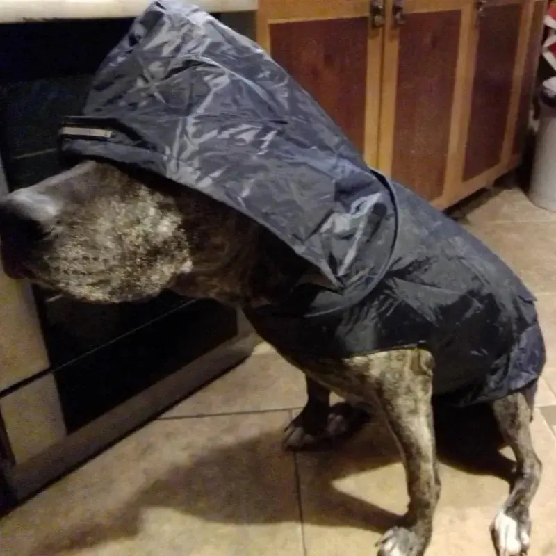 Manteau de pluie (très) grand chien avec capuche - Museauxxxl