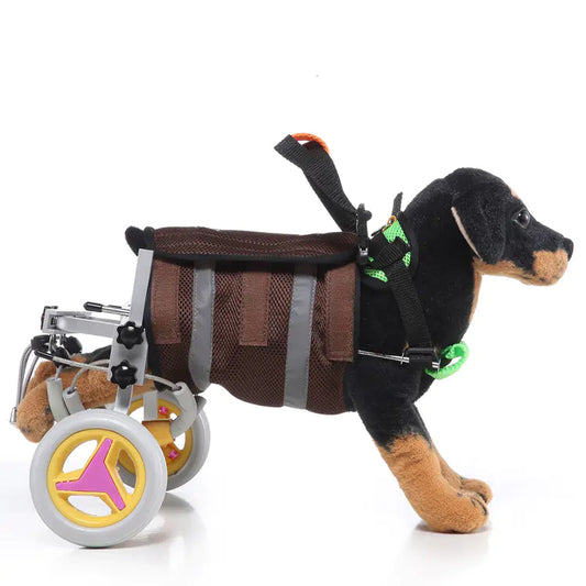 Fauteuil Roulant pour petits Chiens Museauxxxl