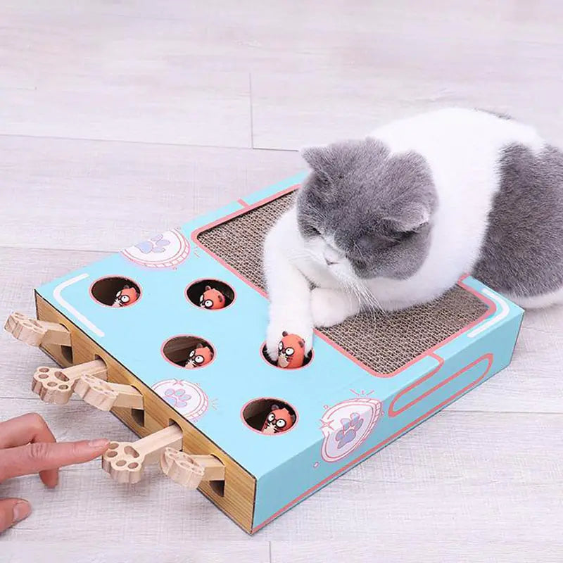 Jouet interactif pour chat - Museauxxxl