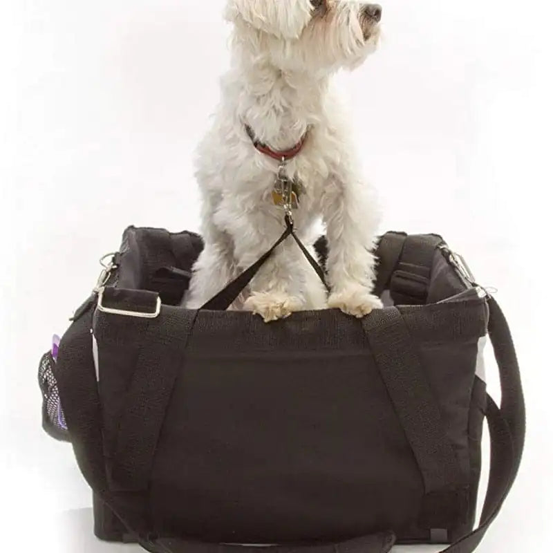 Panier de transport à vélo pour chiot, petit chien ou chat - Museauxxxl