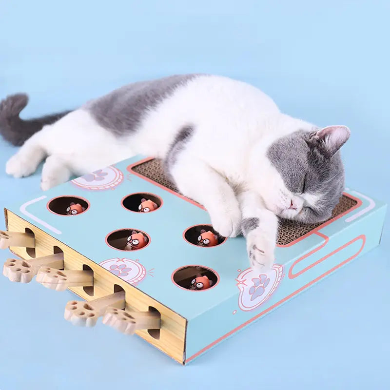 Jouet interactif pour chat - Museauxxxl