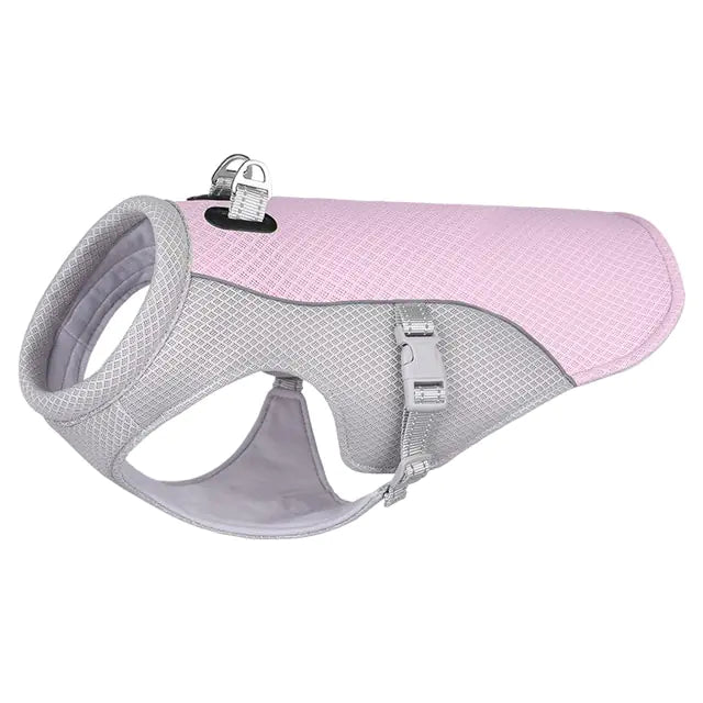 Gilet Rafraîchissant d'Été pour Chien - Museauxxxl