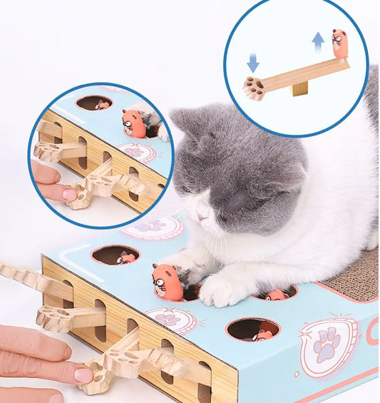 Jouet interactif pour chat - Museauxxxl
