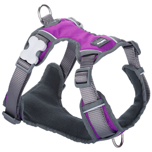 Harnais XL pour très grand chien (tour de cou 62-108 cm)