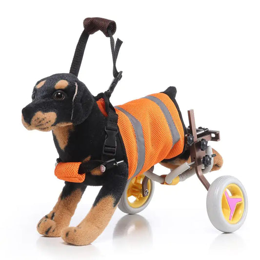 Fauteuil Roulant pour petits Chiens Museauxxxl