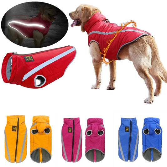 Vêtements Imperméables pour (très) Grands Chiens